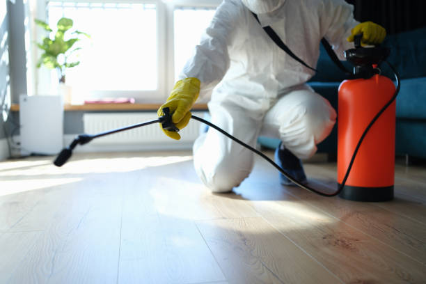 Reliable Sewage Cleanup contractor in York, ME by Trauma Clean Pros